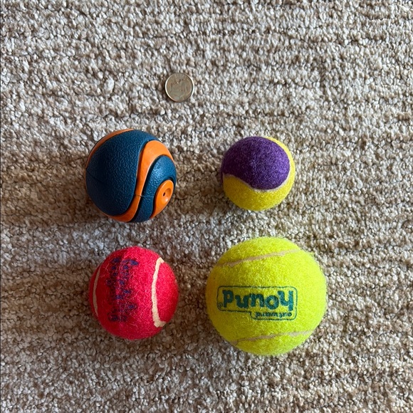 Dog Toy Bundle - Picture 4 of 6